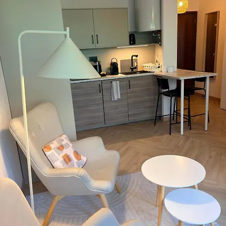 30m2 Avec Wifi Et Parking Apartment